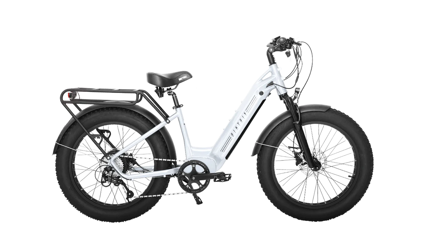 Biktrix Juggernaut Hub Duo Electric Bike Jaxn Ebike Jaxn ebike