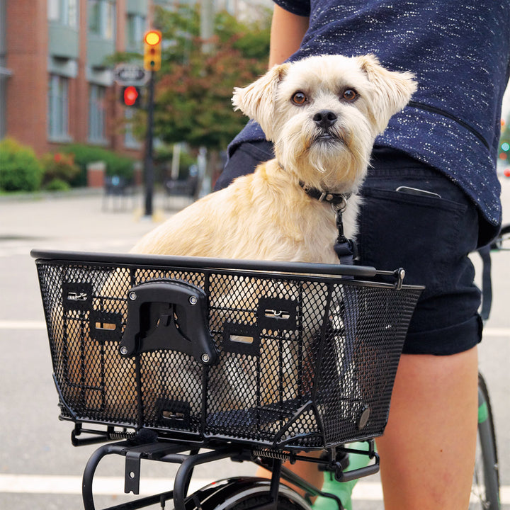 Dog Carrier For Bike Dog Bike Baskets For Adults Dog Bike Basket