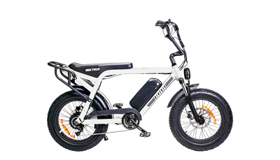 Biktrix Moto Electric Bike